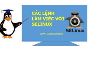 Selinux-1